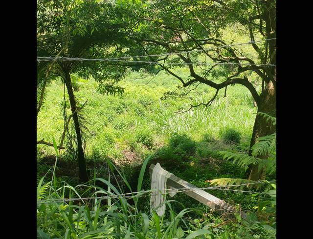 6,000M² VACANT LAND FOR SALE IN CLIFTON PARK